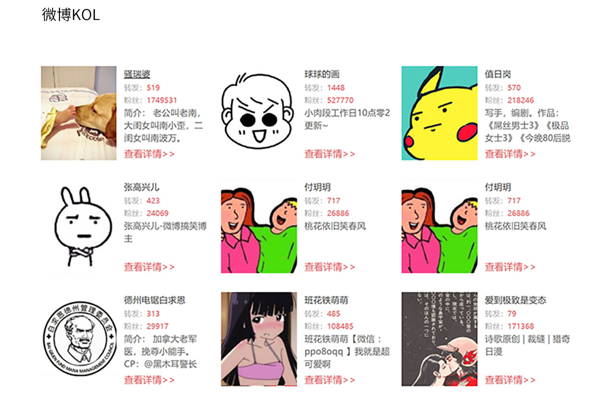 網(wǎng)紅營銷(圖6)