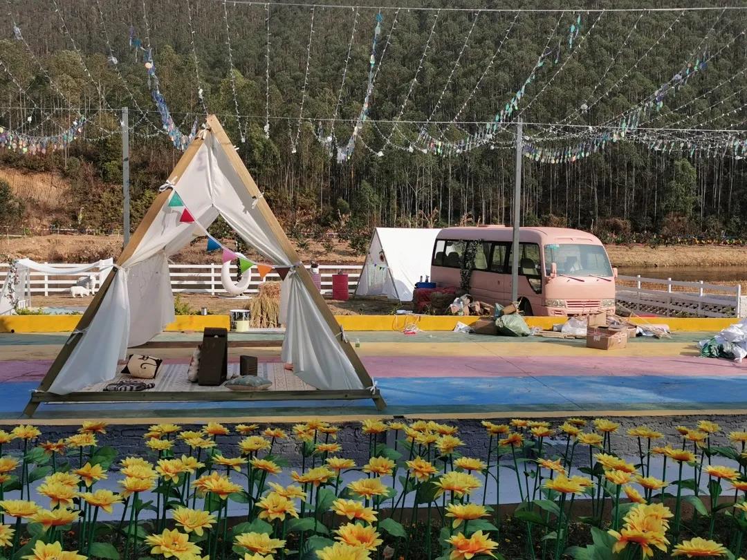 致力打造廣東省首個萌寵貓主題國家4A級景區(qū)貓爪谷(圖5)