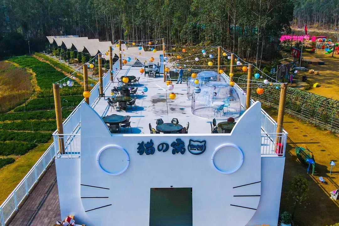 致力打造廣東省首個萌寵貓主題國家4A級景區(qū)貓爪谷(圖6)