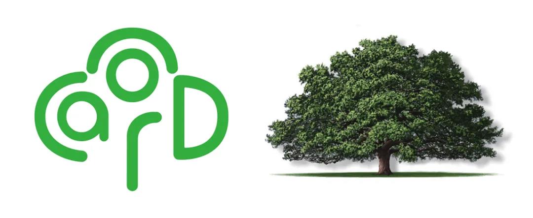 凱天劈地，騰達(dá)飛黃---Candor帶你品味生活，品味人生(圖4)