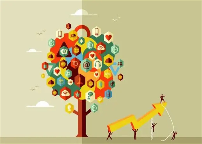 明星翻包的優(yōu)勢(shì)有哪些呢？