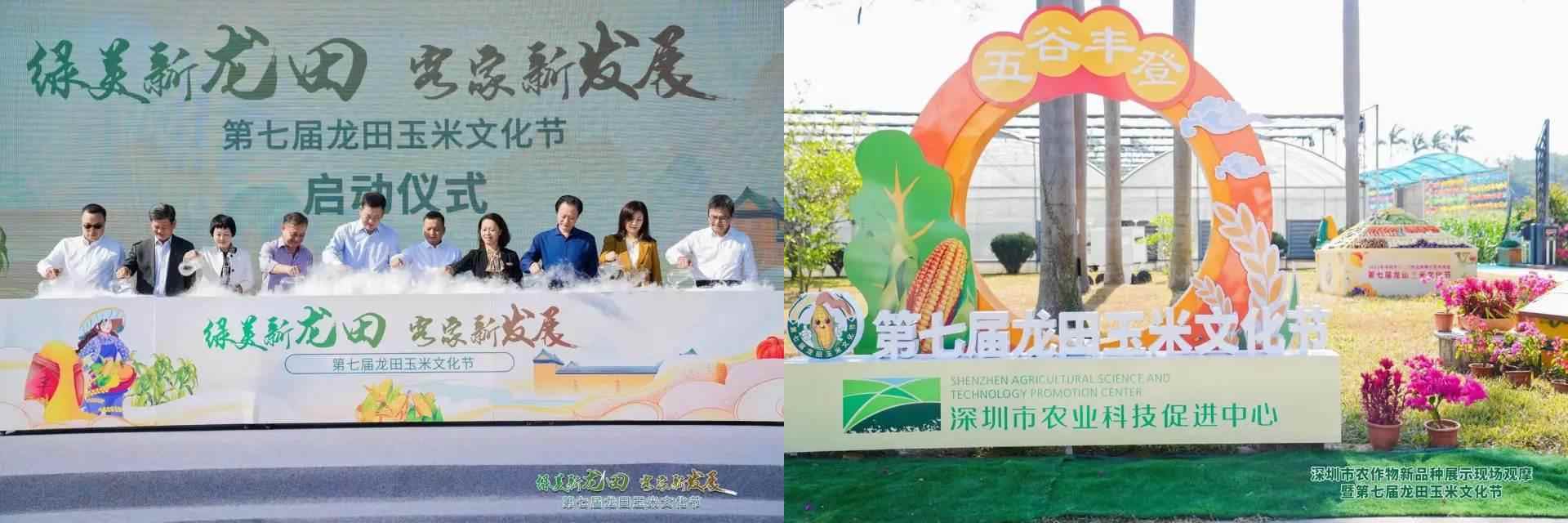 龍?zhí)镉衩坠?jié)(圖3)