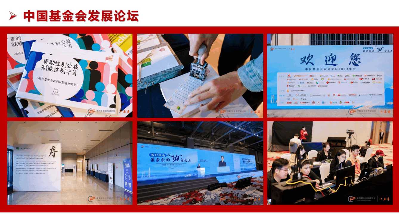 中國基金會發(fā)展論壇(圖2) 中國基金會發(fā)展論壇(圖2)